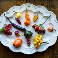 Pingtung Eggplant Purple Asian Long Premium Seed Packet - Thumbnail 2