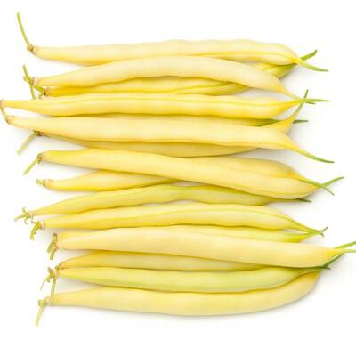 Goldmine yellow wax bean premium seed packet