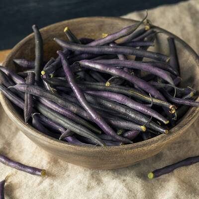 Velour purple green bush bean premium seed packet