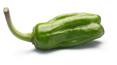 Friggitello Italian Tuscan Friarelli Heirloom Pepper Premium Seed Packet Friggitelli