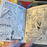 Redbird #7: Beach-Swamp Travel-Log - Thumbnail 1