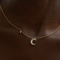 Moon Steel Necklace CZ - Thumbnail 6