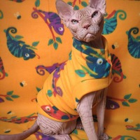 Karma Chameleon  - Thumbnail 1