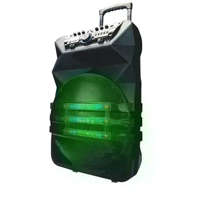 Professional speaker with true wireless technology - iq-4115djtws - Thumbnail 3