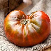 Chocolate Stripes Heirloom Tomato Premium Seed Packet - Thumbnail 2