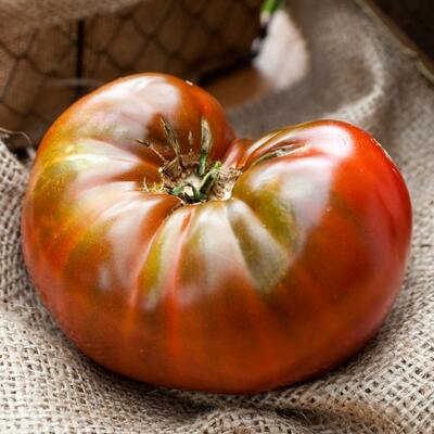Chocolate stripes heirloom tomato premium seed packet