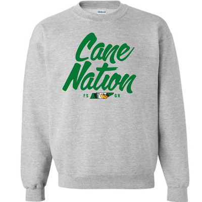 Cnwc 24 grey sweatshirt
