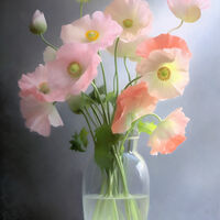 Beautiful Poppies Cross Stitch Pattern - Thumbnail 2