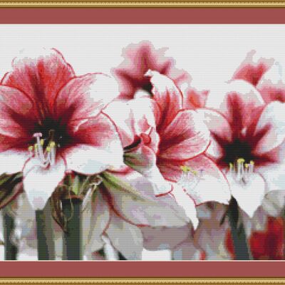 Amaryllis cross stitch pattern