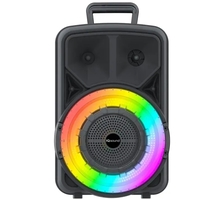 Portable Bluetooth 8" Speaker - IQ-5708DJBT - Thumbnail 3