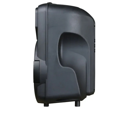 Portable bluetooth 8" speaker - iq-5708djbt