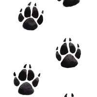 "Fox and pawprints" - Thumbnail 1