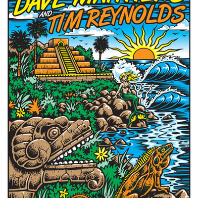 Dave matthews & tim reynolds 18x24 screenprinted poster (ap signed and numbered)