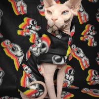 Sportstronaut - Thumbnail 1