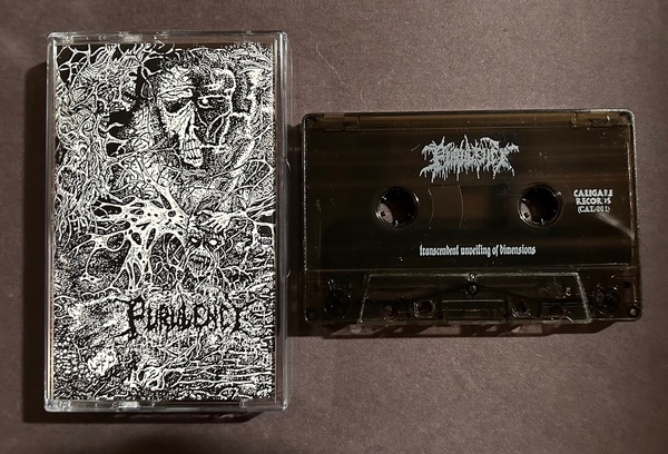 PURULENCY - Transcendent Unveiling of Dimensions (Cal-201)
