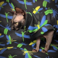 Dragonflies - Thumbnail 2