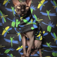 Dragonflies - Thumbnail 1