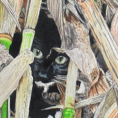 "kitty in the corn stalks" artwork by n.e.thompson, art print
