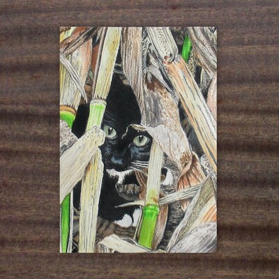 "kitty in the corn stalks" artwork by n.e.thompson, art print