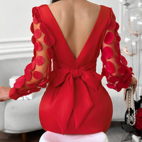 Red Mesh Jacquard Backless Casual Long Sleeve Dress - Thumbnail 2