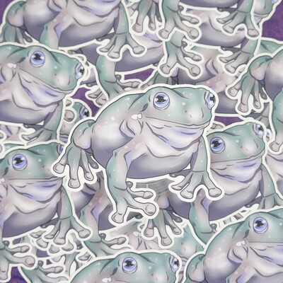 Blue eyed frog sticker