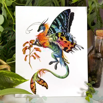 Madagascar sunset moth dragon - print - Thumbnail 4