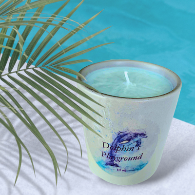 Dolphin's playground candle
