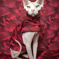 Red Dawn - Activewear - Thumbnail 1