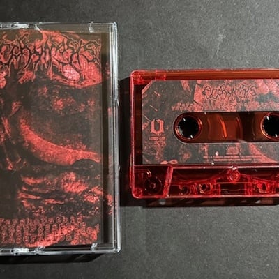 Eccchymosis - psychopathic concupiscence towards homicidal lacerations - Thumbnail 3