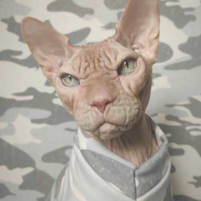 Snow camo - fuzzy on the inside - Thumbnail 1