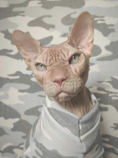 Snow Camo - Fuzzy On The Inside