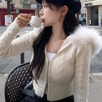 Furry Hoode Cropped Jacket - Thumbnail 4