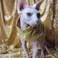 The Golden Child - Velvet - Thumbnail 2