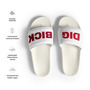 DIG BICK SLIDES-1