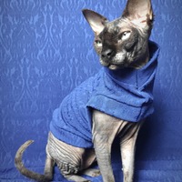 Royal Texture - Thumbnail 1