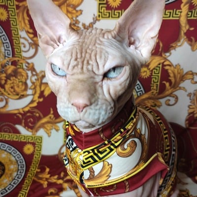 Vers ace - sleepwear - Thumbnail 2