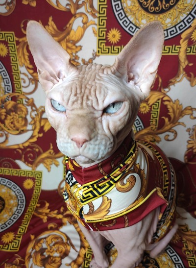 Vers Ace - Sleepwear