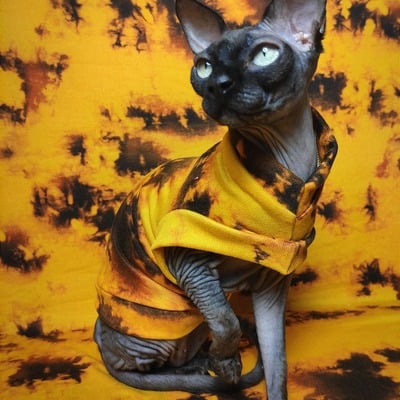 The yolks on you - sweaterknit