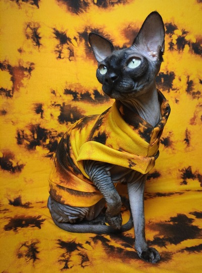 The Yolks On You - Sweaterknit