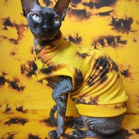 The Yolks On You - Sweaterknit - Thumbnail 1