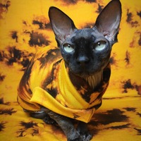 The Yolks On You - Sweaterknit - Thumbnail 2