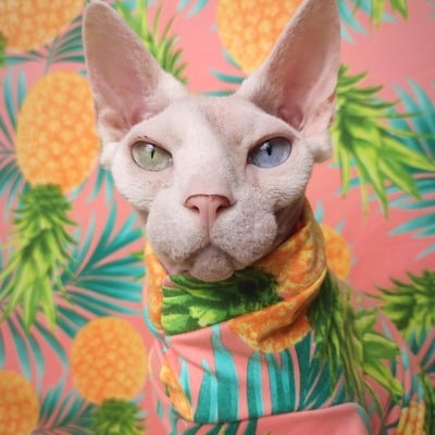 Pineapple  express - sleepwear - Thumbnail 4