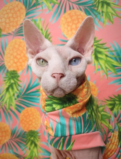 Pineapple  Express - Sleepwear