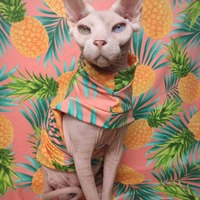 Pineapple  Express - Sleepwear - Thumbnail 4