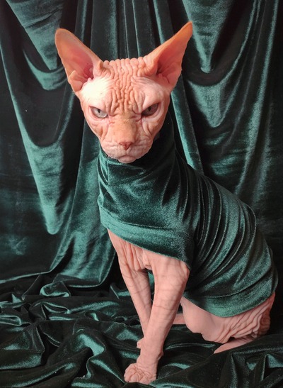 Green Machine - Velvet