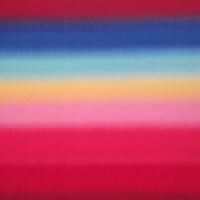 Rainbow - Ribbed For Her Pleasure  - Thumbnail 3