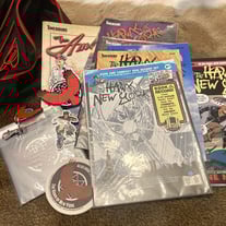 Big Backpack o' Books: Issue 1 through 7 of The Hawk of New York, PLUS LIMITED SUPPLY!