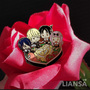 Kaguya-sama Love Is War Gold-plated Enamel Pin-1