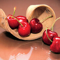 Cherries Cross Stitch Pattern - Thumbnail 2