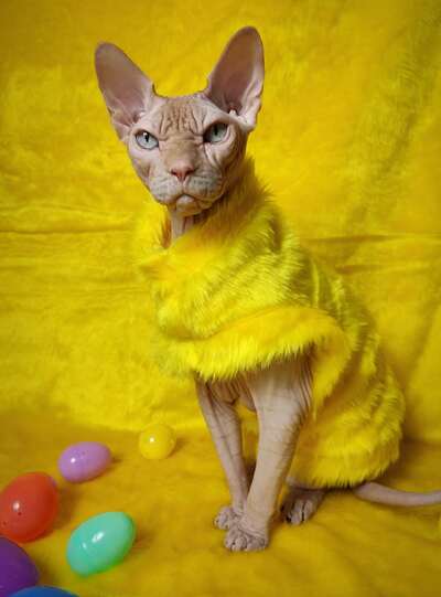 Side Chick Vegan Fur